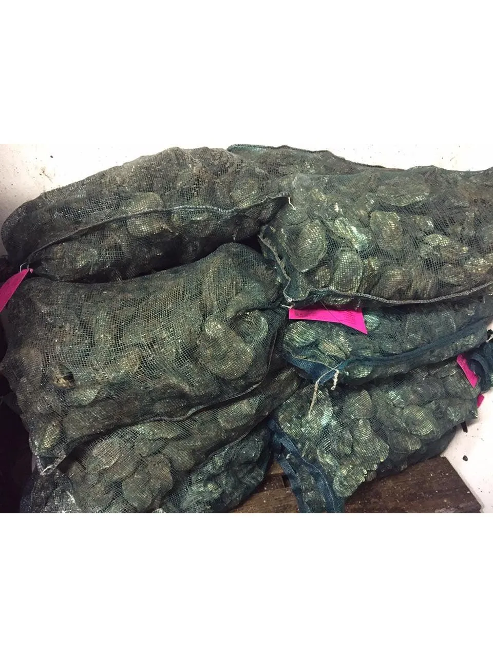 Crawfish Sacks Mesh 16.75"x 29", 40# Domestic with Pull