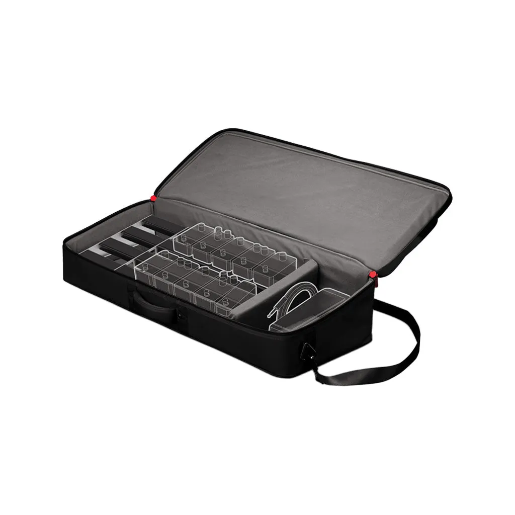 D'Addario PW-BLPBT-02 XPND Backline Pedalboard Transport Pack 2, Large
