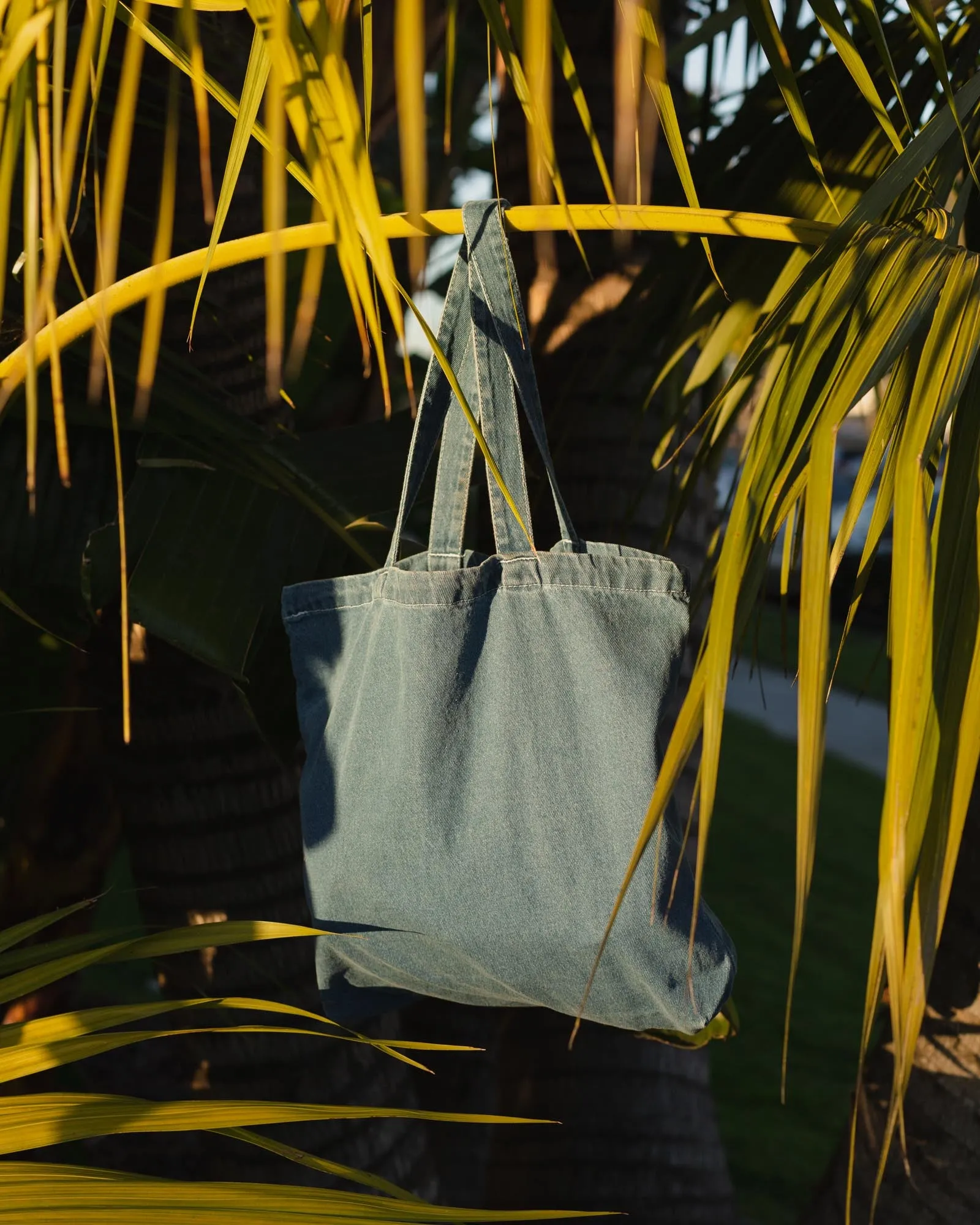 Daydream Sip and Slide Tote
