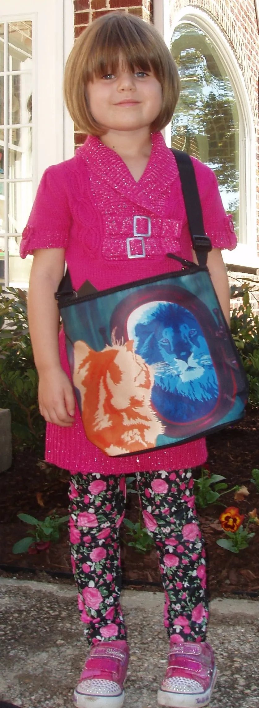 Dolphin Kitten Cross Body Bag - The Kiss