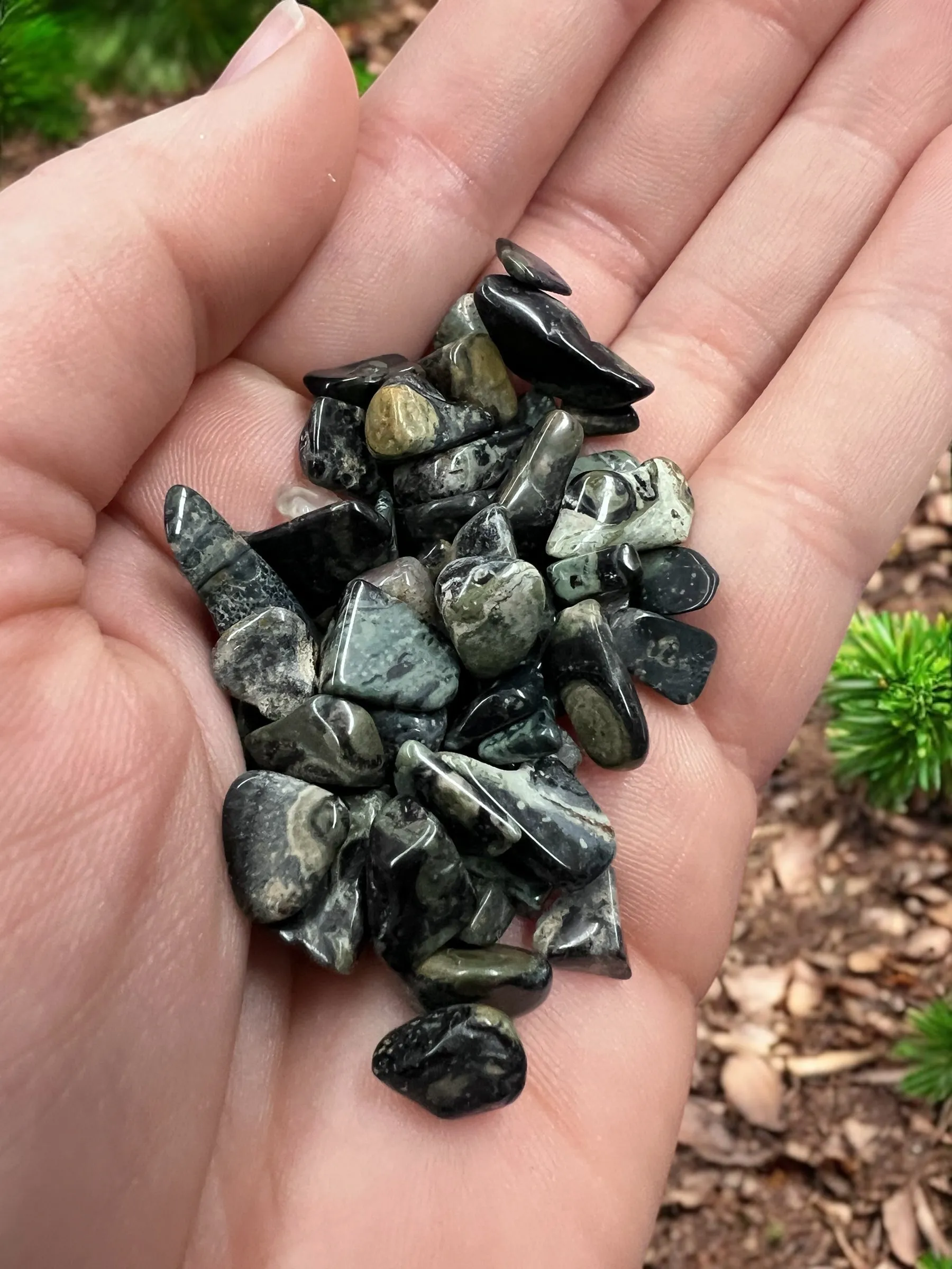 Kambaba Jasper Gemstone Chips
