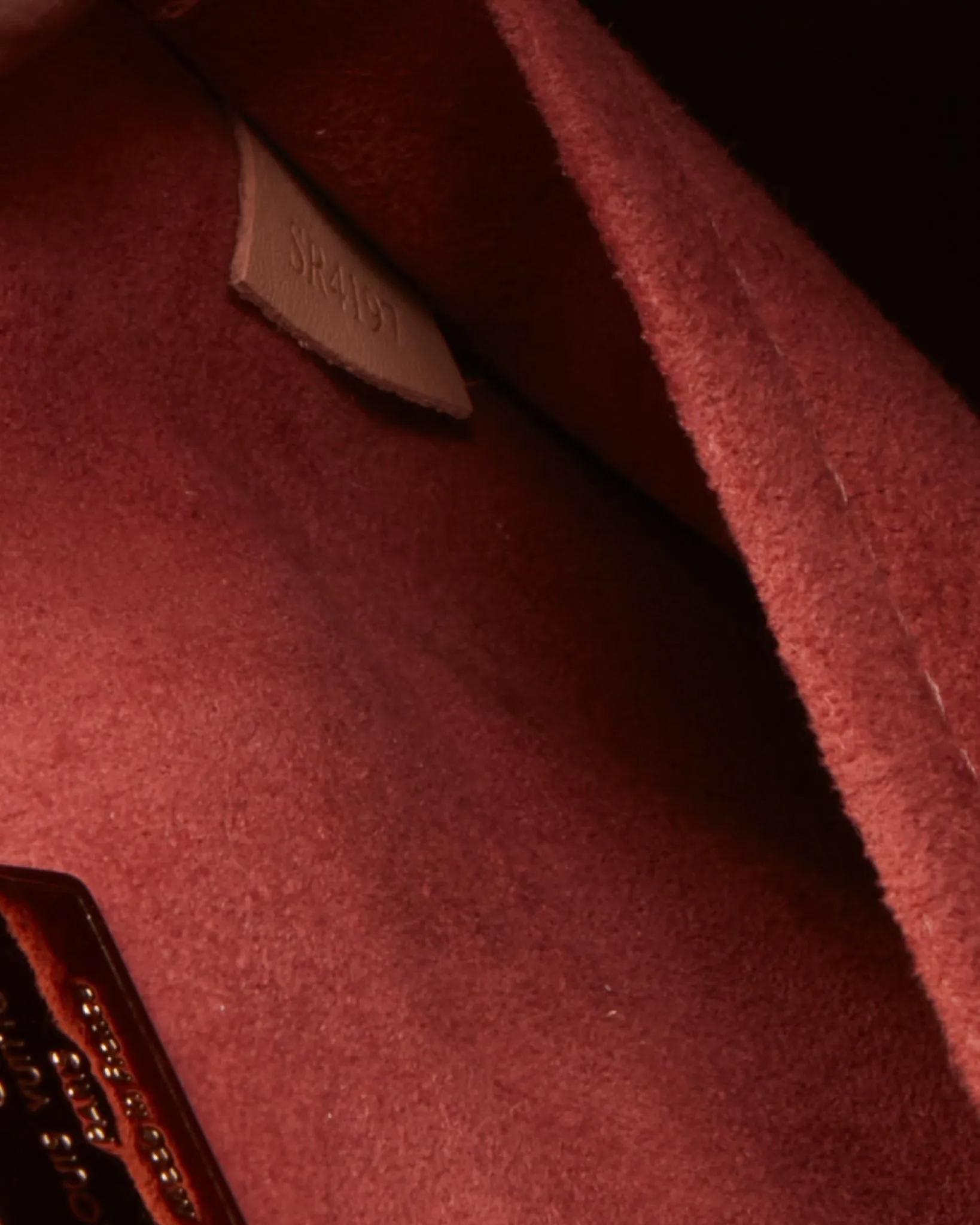 Louis Vuitton Rosewood Vernis Hot Springs Backpack