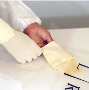 Nitrile Cleanroom Glove Irradiated Bagged  | 12" Cuff  10 ea/Bag 20 Bags/Case