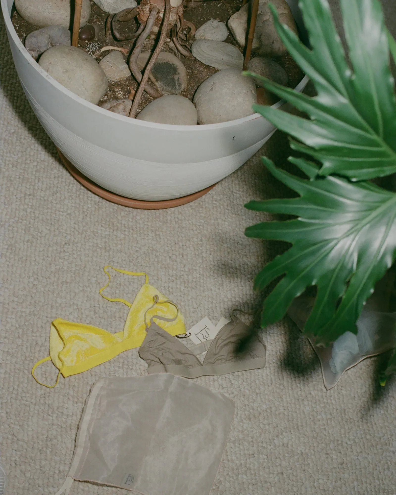 Surprise Pack - 2 Mississippi Bra